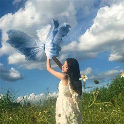 小夜莺 焦点图